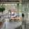 two-story clubroom