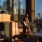 woman reading with dusk lighting